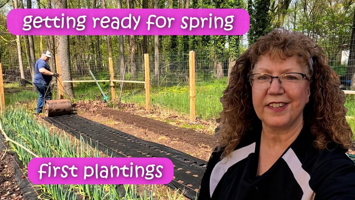 Vegetable Gardening - Zone 6 - Early Spring Garden Tour - Planting Onions and Broccoli -  4/29/2024