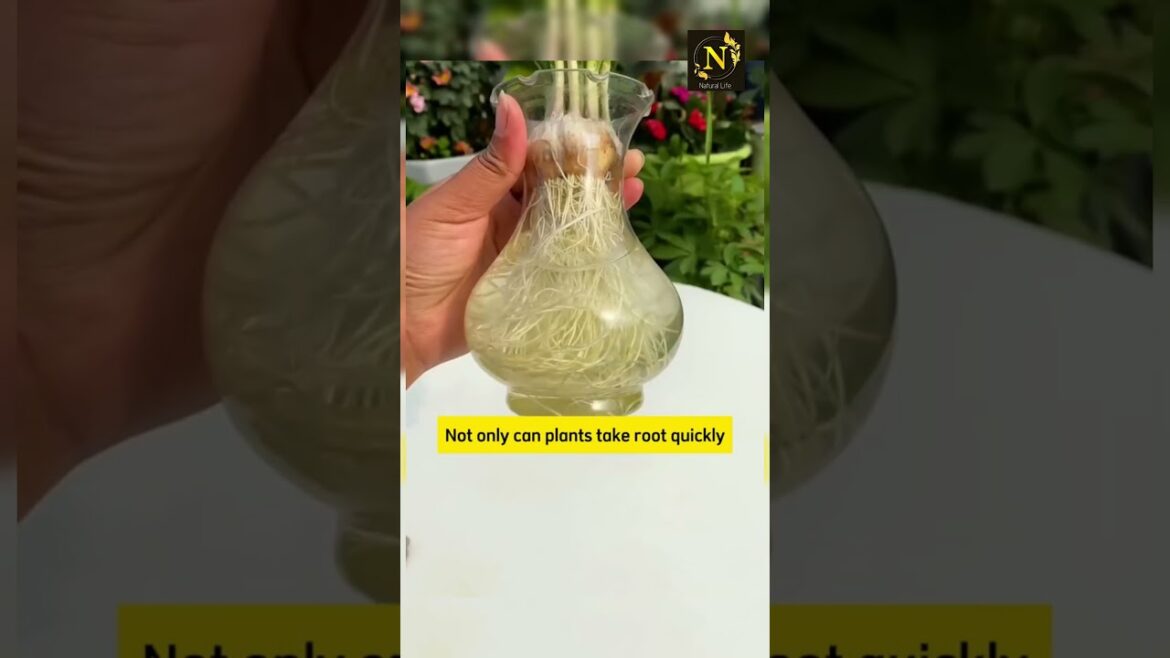 very simple add a spoonful of brown sugar to warm.#usa #youtubeshorts #youtubeshorts #shorts