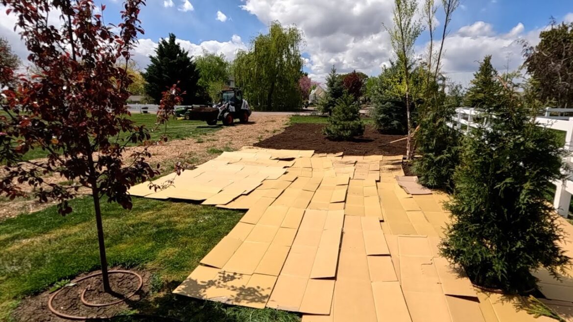 Garden Answer: Use Cardboard Instead of Landscape Fabric + Planting Lisianthus! 🙌🌿🌍 // Garden Answer Use Cardboard Instead of Landscape Fabric + Planting Lisianthus! 🙌🌿🌍 // Garden Answer