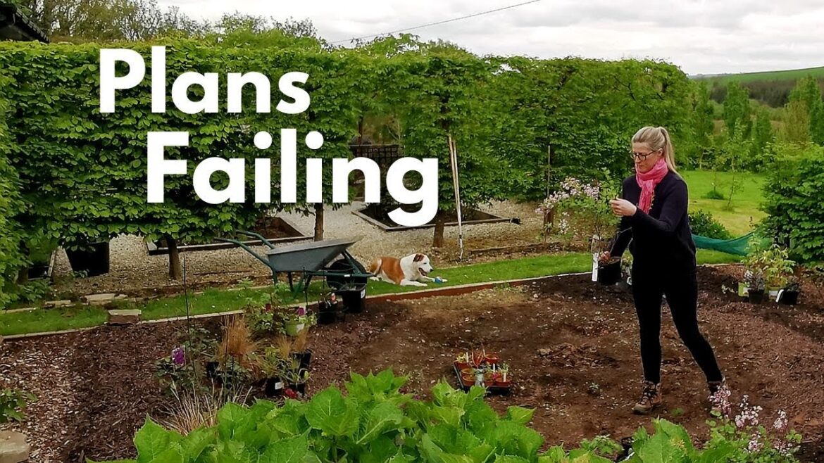 Interruptions to my gardening plans and feeling overwhelmed| The Cottage Garden| Irish Garden Interruptions to my gardening plans and feeling overwhelmed| The Cottage Garden| Irish Garden