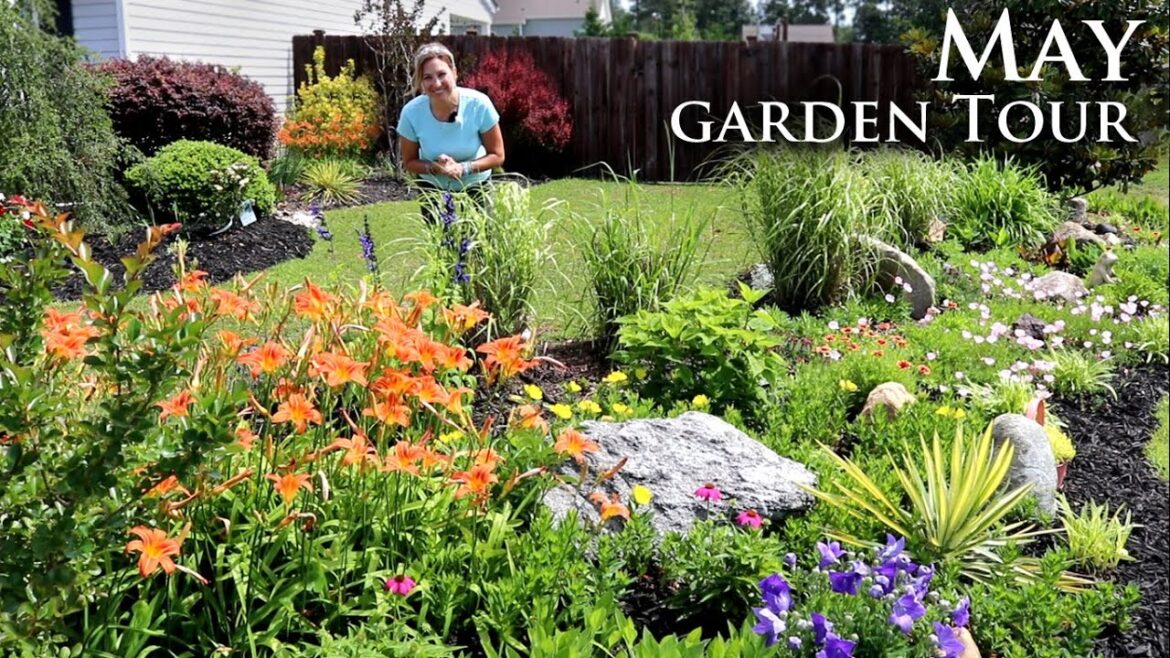 May Garden Tour | Front yard of My Carolina Garden May Garden Tour | Front yard of My Carolina Garden