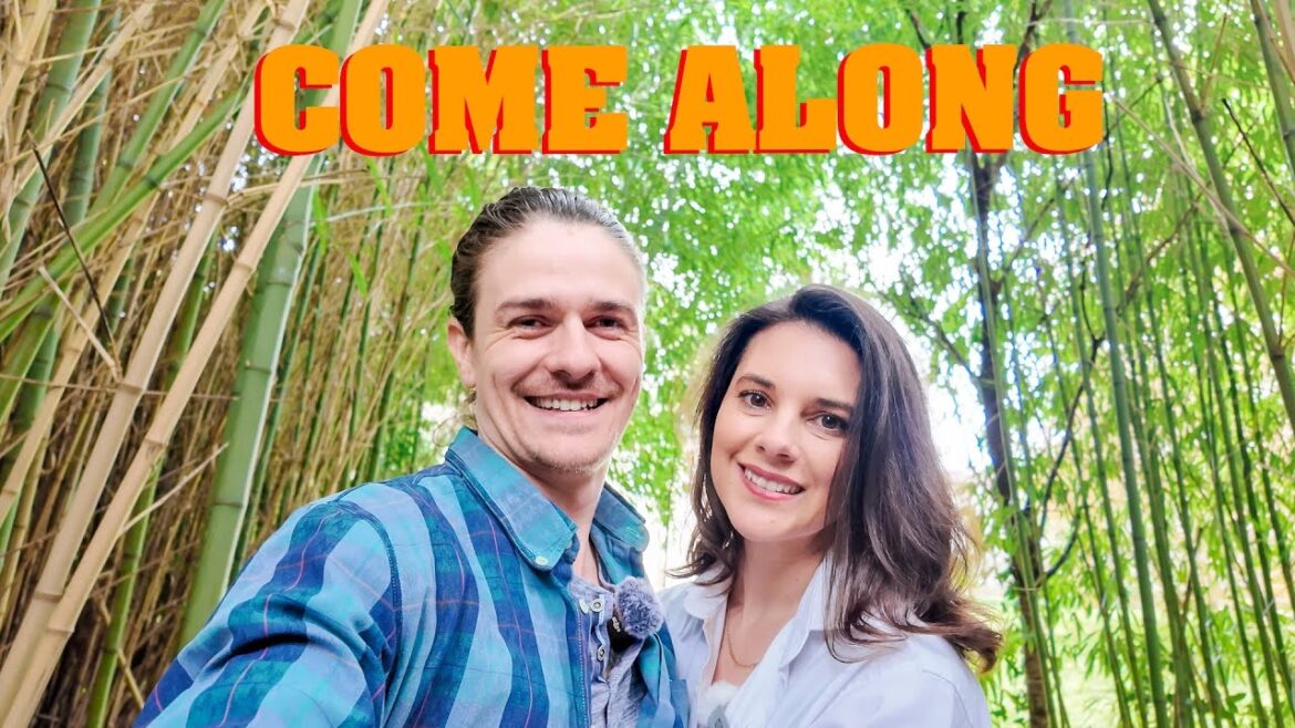 Full French Country Garden Tour & Plans for the future – A new approach | Episode 1 Full French Country Garden Tour & Plans for the future - A new approach | Episode 1