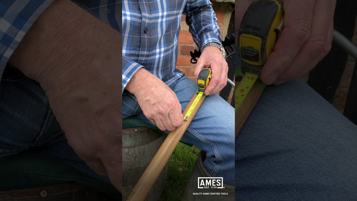 David Domoney: AMES Garden Tips - Make your own measure