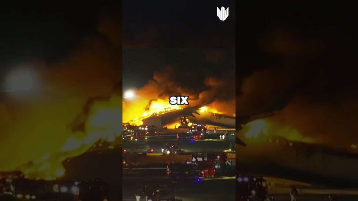 Airbus to assist investigation into jet crash |#world updates|#viral