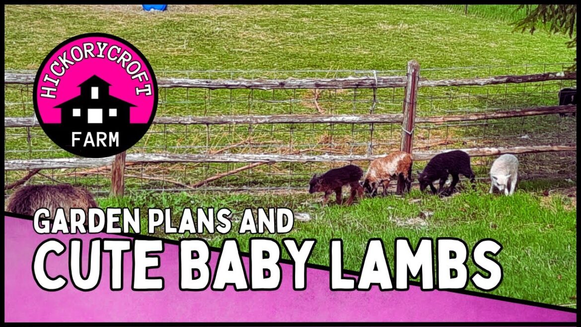 CUTE BABY LAMBS and Garden Plans On Our Canadian Homestead (Looking Back At 2022) Raising Sheep