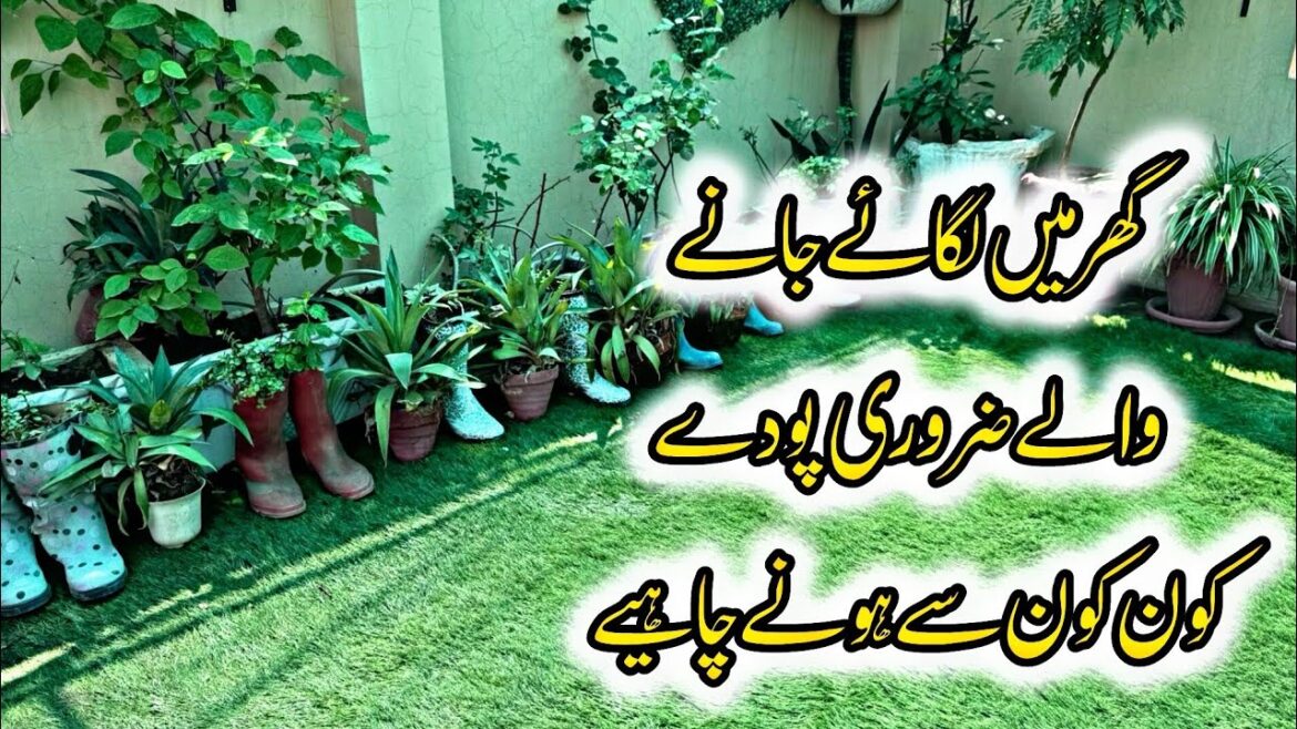 Must Have Garden Plants | vegetable Garden at Home | Gardening Ideas For Home Must Have Garden Plants | vegetable Garden at Home | Gardening Ideas For Home