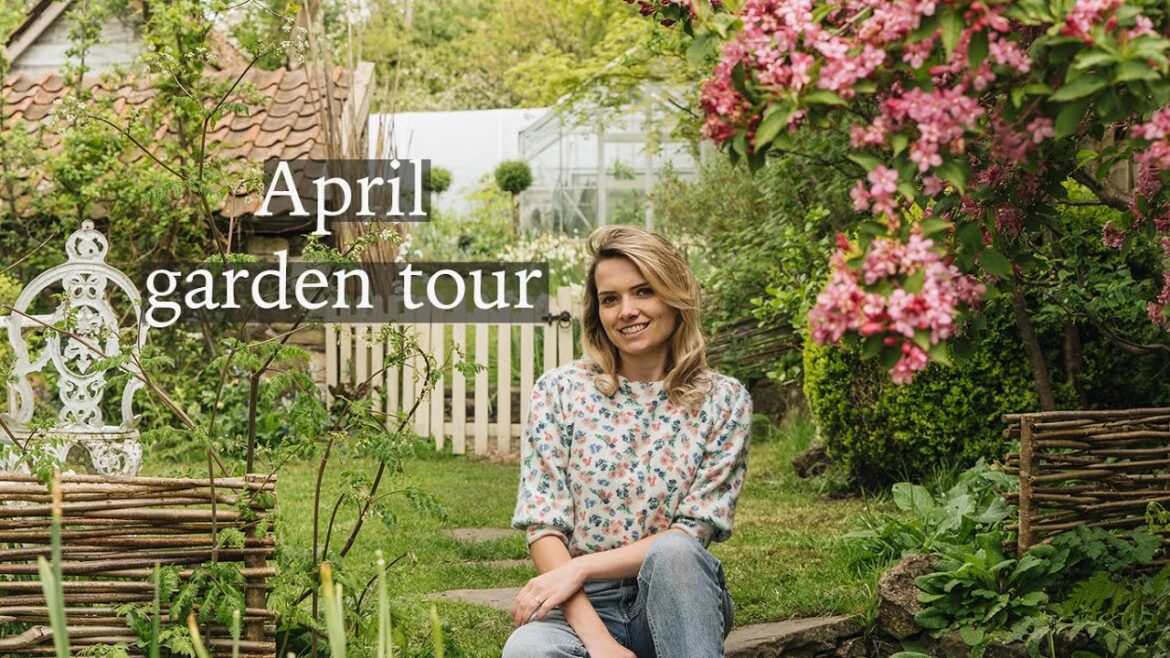 April Cottage Garden Tour – Spring Meadow, Daffodils, Edible Garden & New Yew Border April Cottage Garden Tour - Spring Meadow, Daffodils, Edible Garden & New Yew Border