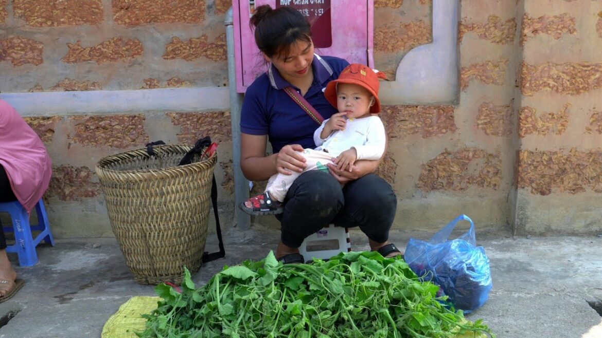 Single Mom: Pick vegetables squash to sell at the market - Vegetable gardening - Single life