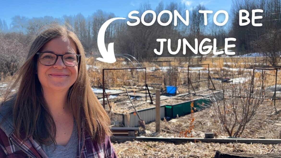 Plans & Preparations: Exploring My Zone 3 Garden