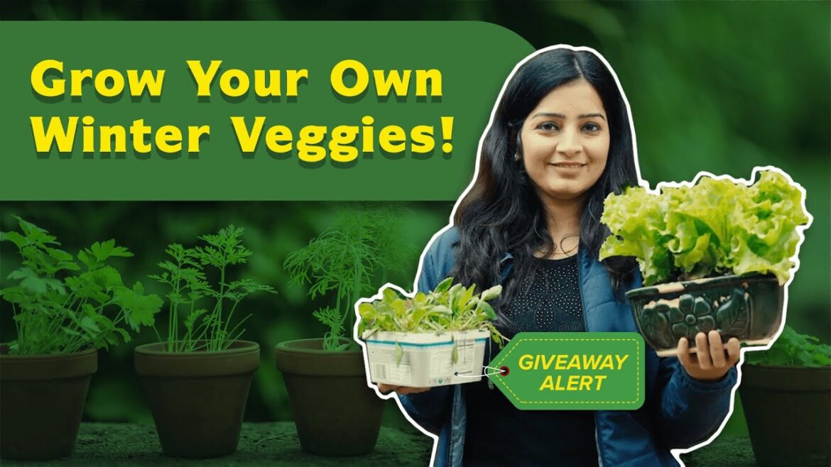 Backyard Vegetable Gardening Made Simple | Giveaway Inside