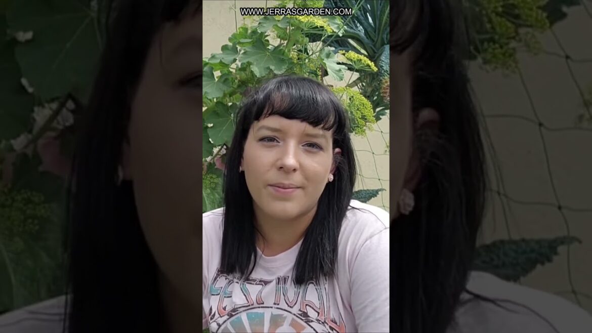 Unlocking the Secrets of a Bountiful Spring Garden Unlocking the Secrets of a Bountiful Spring Garden