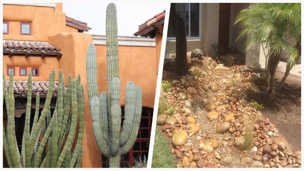 75 Southwestern Orange Landscaping Design Ideas You'll Love ♡