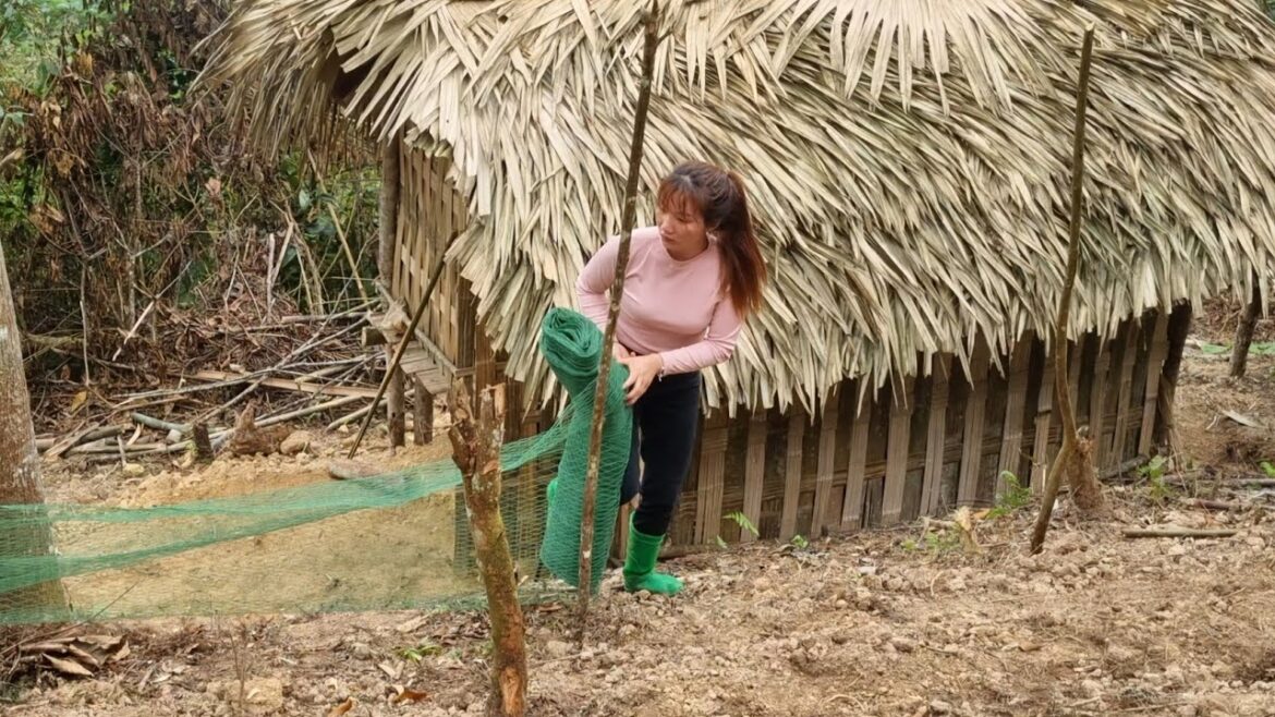 Vegetable gardening and vegetable garden care