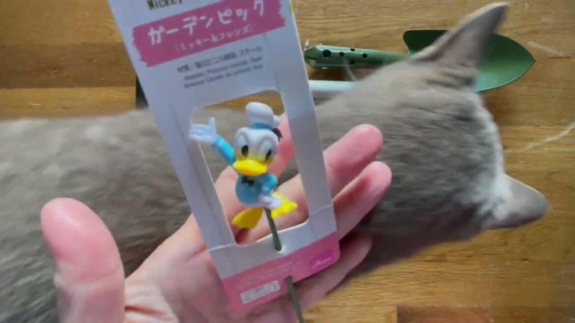 Small Daiso Haul - Yes, I failed at my 2024 No Spend...