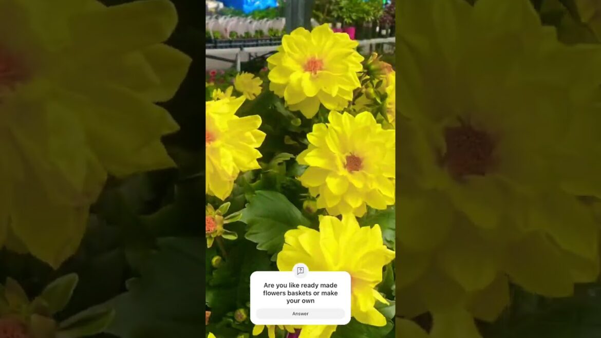 Summer gardening #foryou #garden #design #gardening