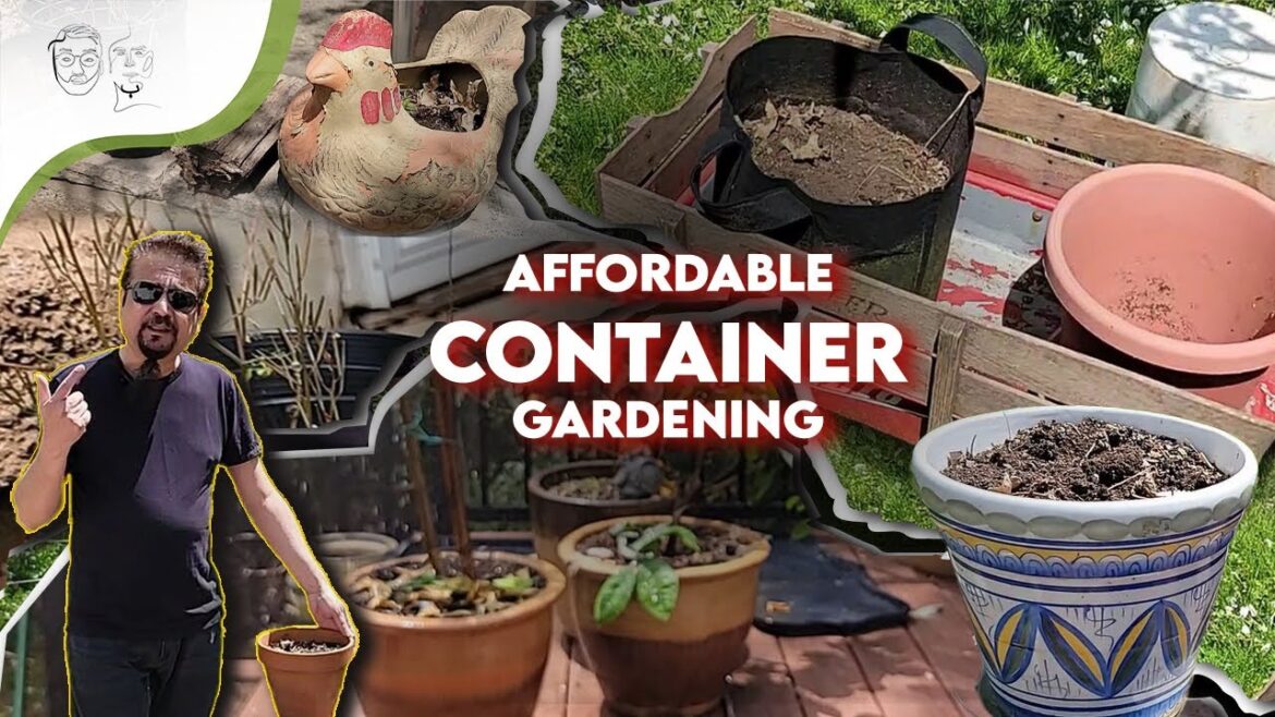 Container Gardening Made Easy | Choosing the Right Container is Necessary | Garden in No Space Container Gardening Made Easy | Choosing the Right Container is Necessary | Garden in No Space