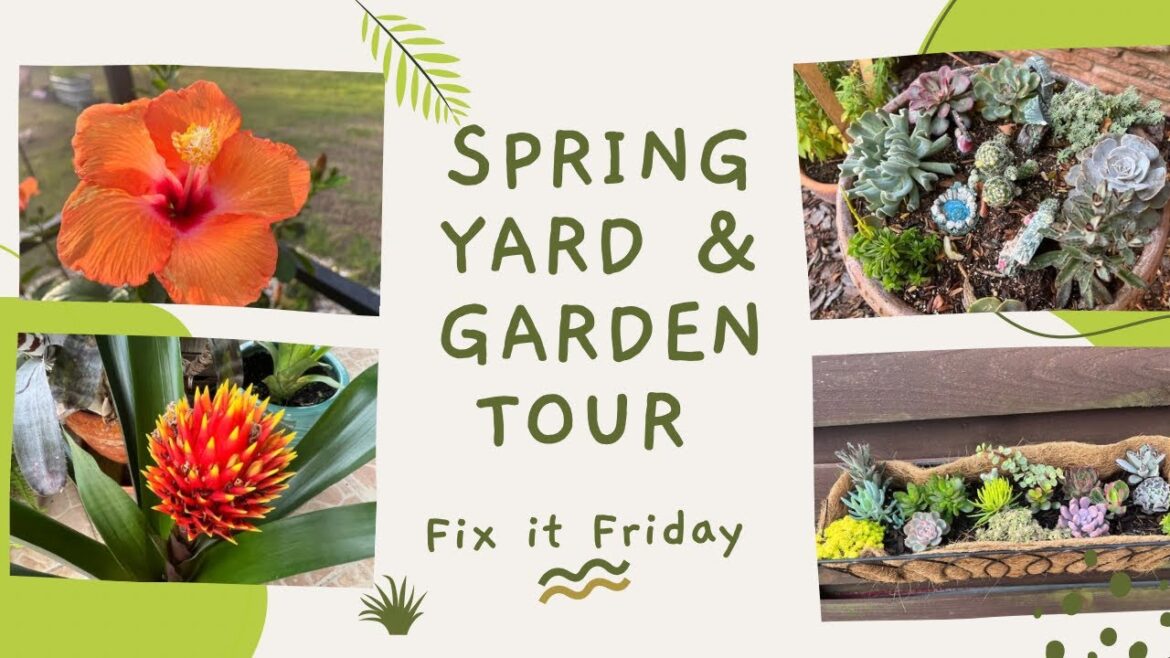 2024 Florida 🌴 Spring Yard & Garden Tour 🪴| Spring Gardening 🌺 | Fix It Friday Series 🏡