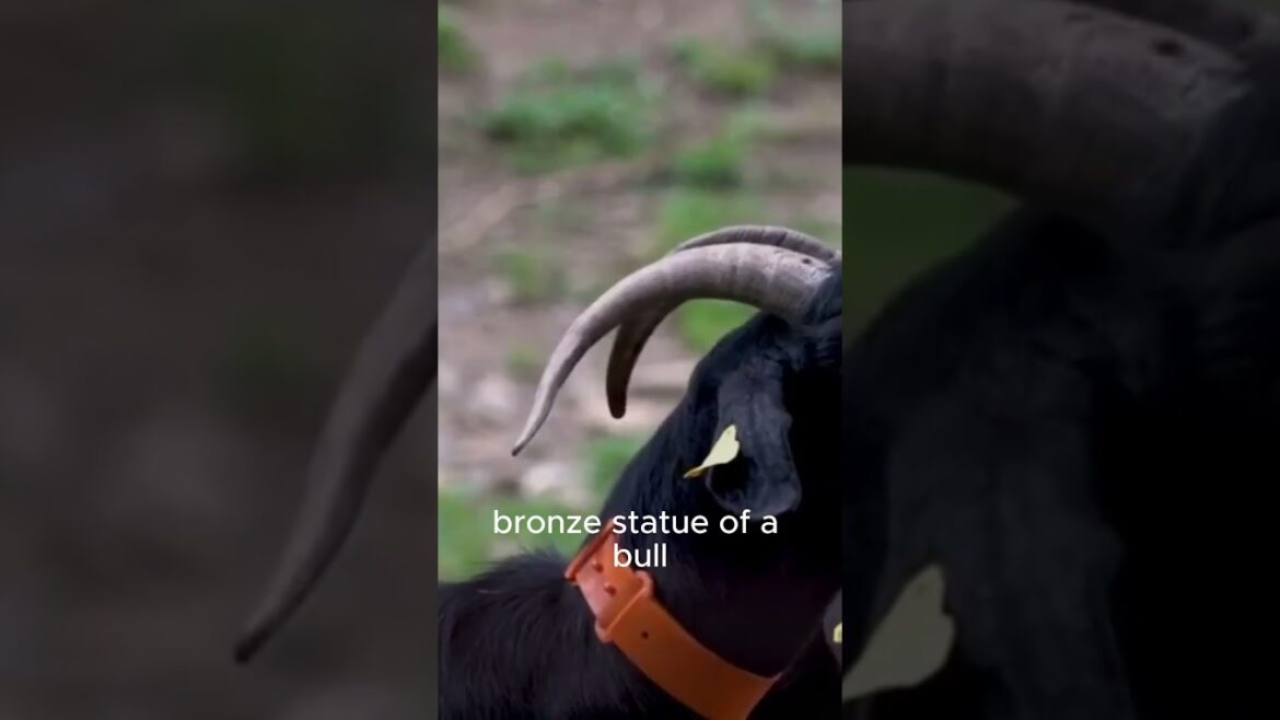 ancient brutal punishments ancient brutal punishments