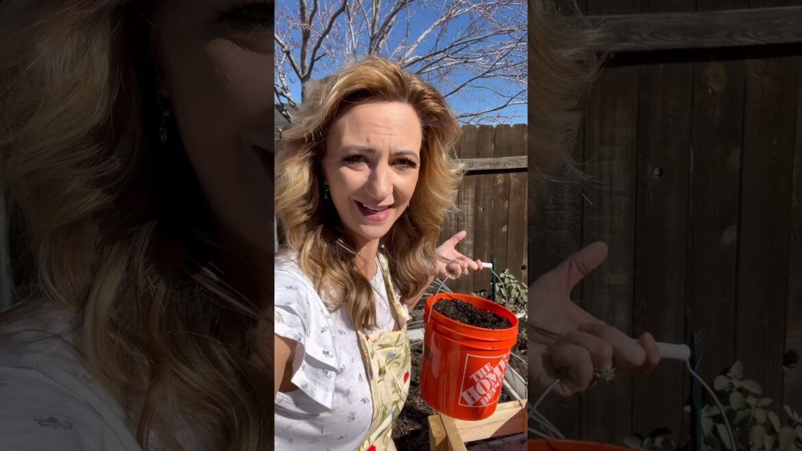 CONTAINER GARDEN BENEFITS | Extra Growing Time #planting #gardening #gardeningtips #homestead #short CONTAINER GARDEN BENEFITS | Extra Growing Time #planting #gardening #gardeningtips #homestead #short