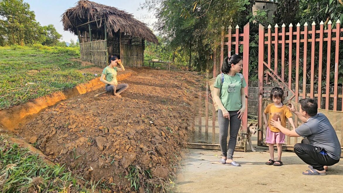 The little girl was brought home by her single mother. Vegetable gardening .daily life The little girl was brought home by her single mother. Vegetable gardening .daily life