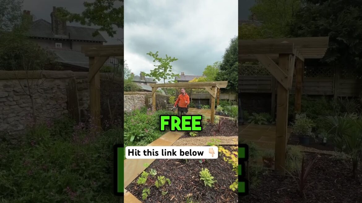 Have you watched our latest landscaping transformation #garden Have you watched our latest landscaping transformation #garden