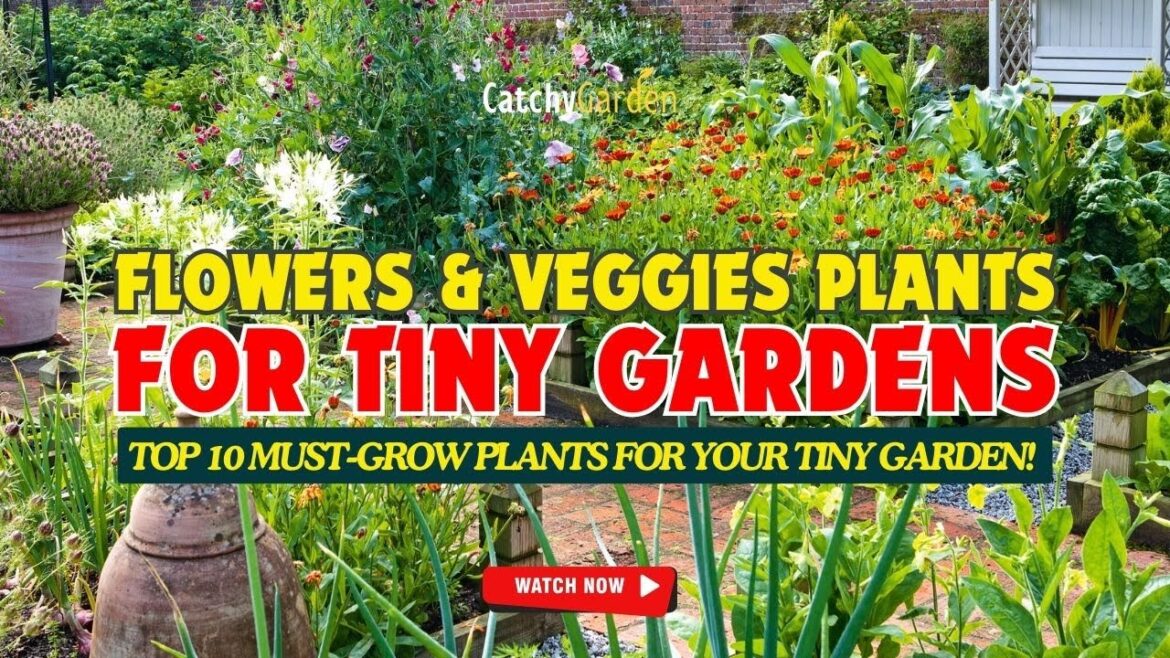 π±π TOP 10 MUST-GROW PLANTS for Your TINY Garden! ππ // Gardening Tips π±π TOP 10 MUST-GROW PLANTS for Your TINY Garden! ππ // Gardening Tips