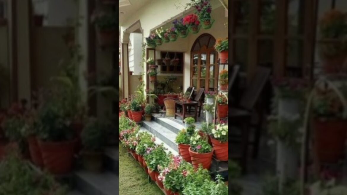 morden garden design