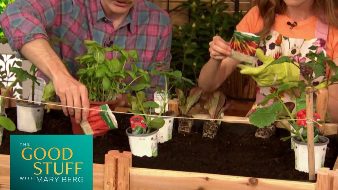 Growin’ With Owen: Growing an edible garden | The Good Stuff with Mary Berg Growin' With Owen: Growing an edible garden | The Good Stuff with Mary Berg