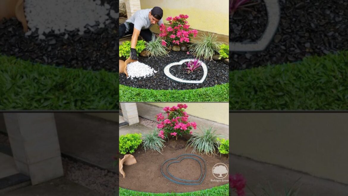 Modern Front yard landscaping Design #myfirsthome