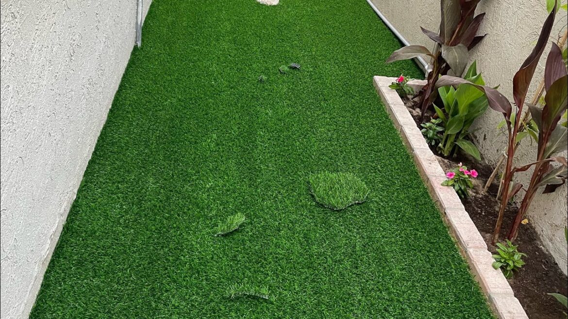 Home Garden design#shortvideo #shor#garden #design #home Garden