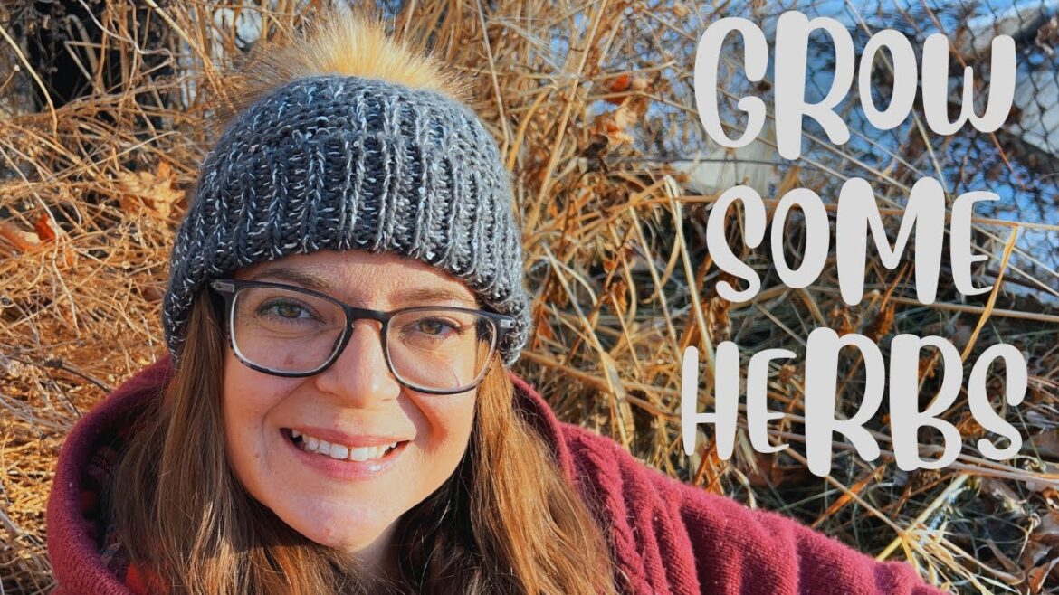 My Favourite Herbs To Grow (Zone 3 Gardening)