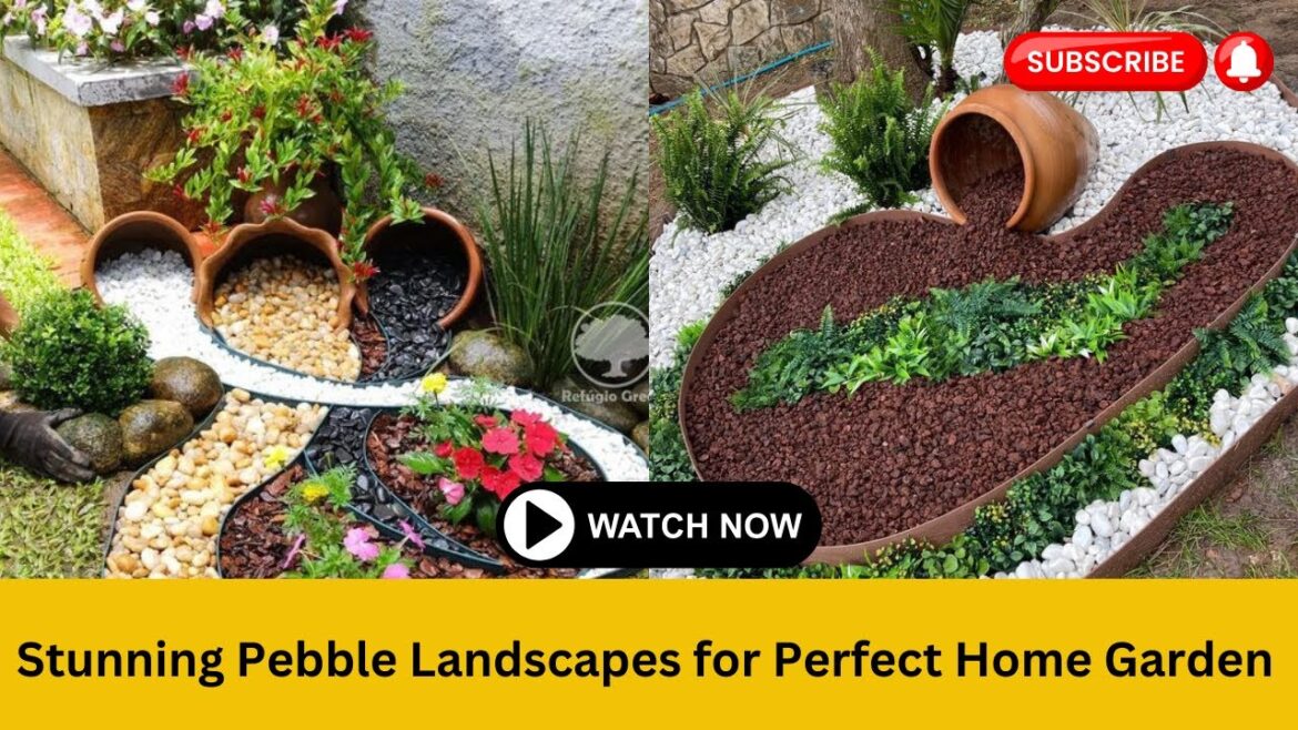 Enhance Your Garden: Stunning Pebble Landscapes for Perfect Home Garden | Garden Decor Ideas