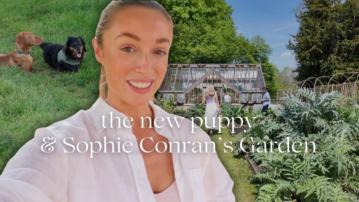 MEET THE NEW PUPPY & EXPLORING WINDSOR PARK & SALTHROP GARDENS MEET THE NEW PUPPY & EXPLORING WINDSOR PARK & SALTHROP GARDENS