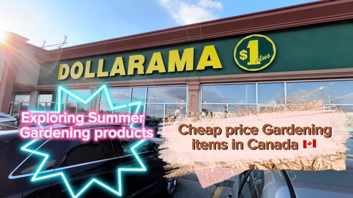🇨🇦Summer Gardening products in Canada | Summer products | Cheap price Gardening Products