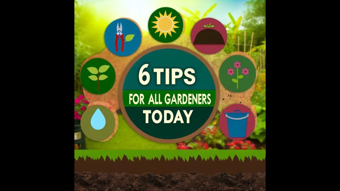 6 Quick Garden Tips for Every Gardener
