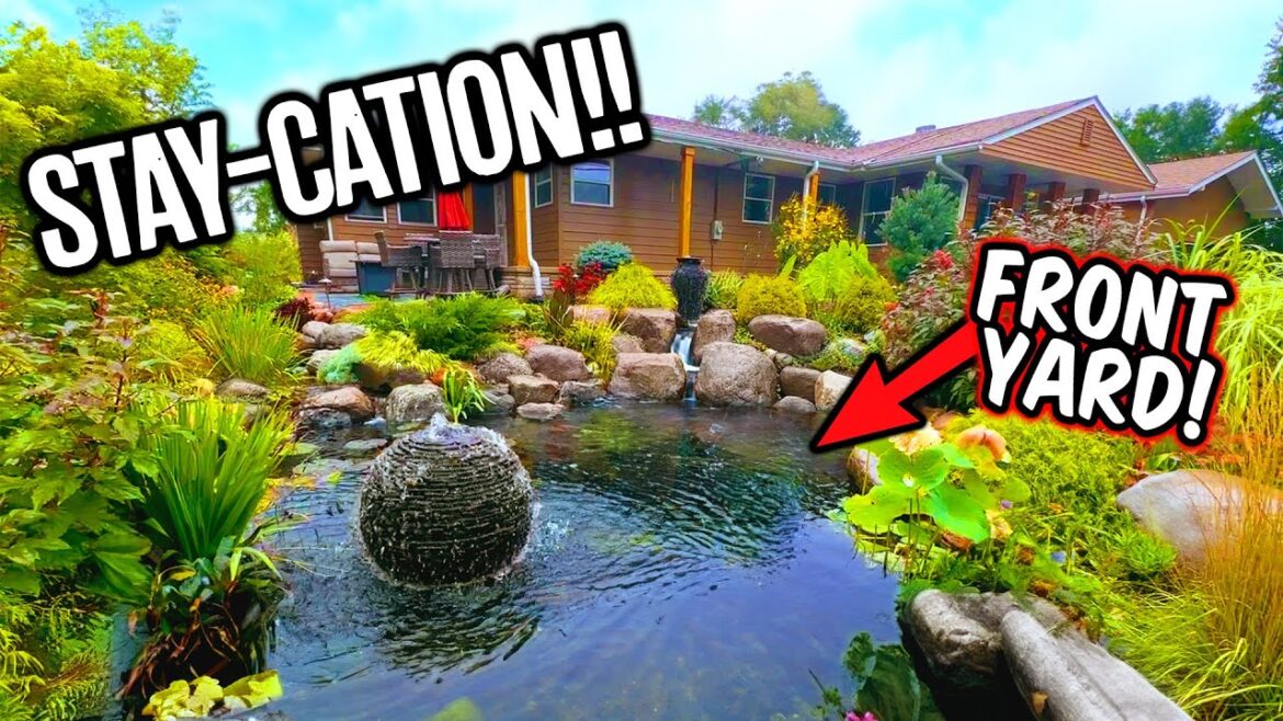 Vacation at Home with This Pond