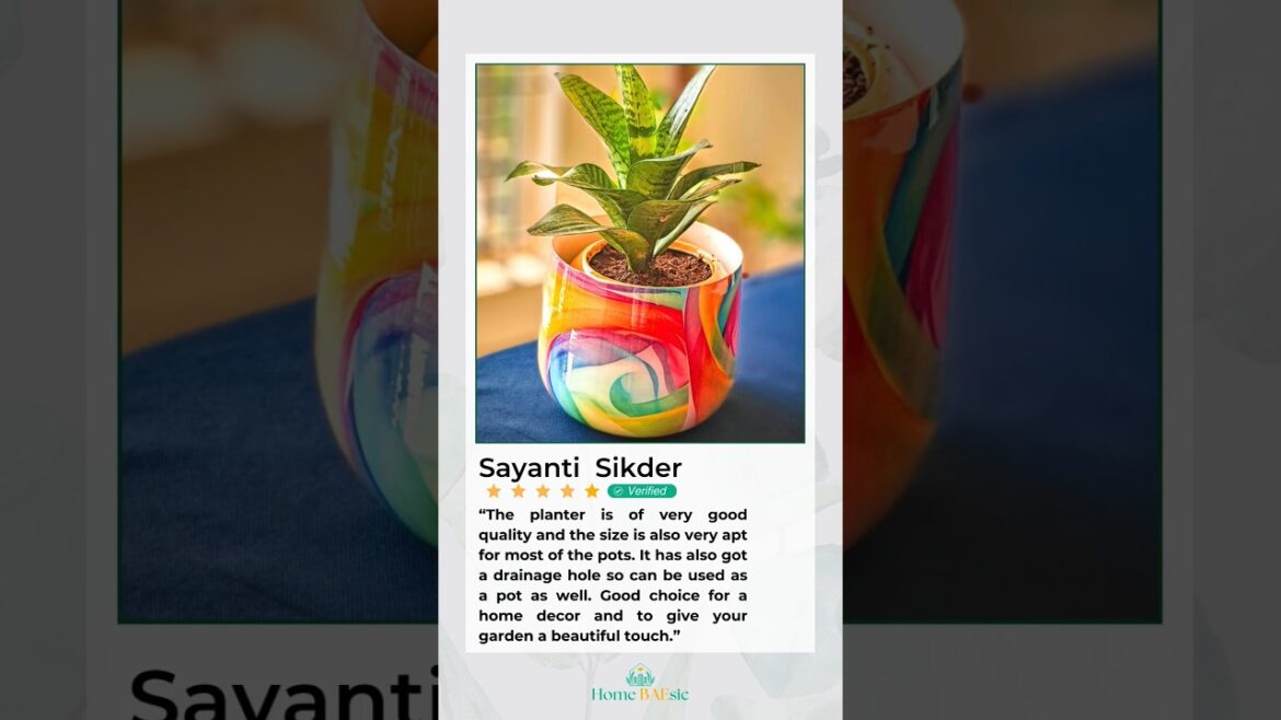 🫨 #badobadi Might have not got it right. But our planters do 🫶🩷🫰Home BAEsic Planters Review #shorts