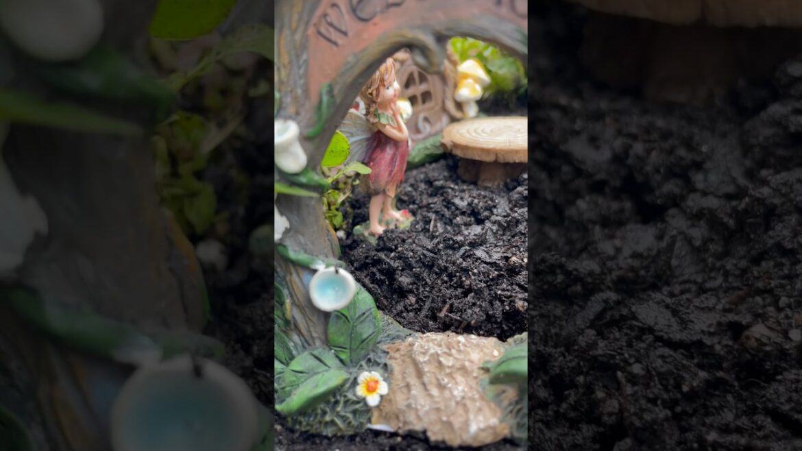 Fairy Garden with Pansies Short 🧚 #spring #fairygarden #short #container #garden #shorts