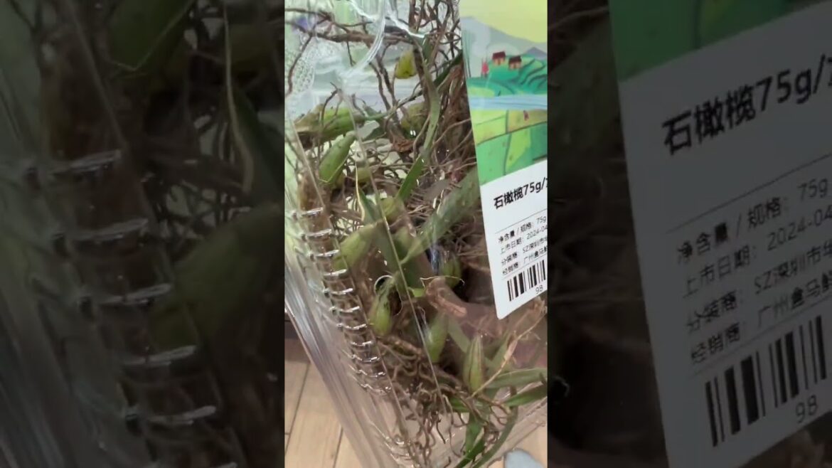 Edible orchids 🤯🤯🤯🤷🏻🤷🏻🤷🏻🎋🎋🎋