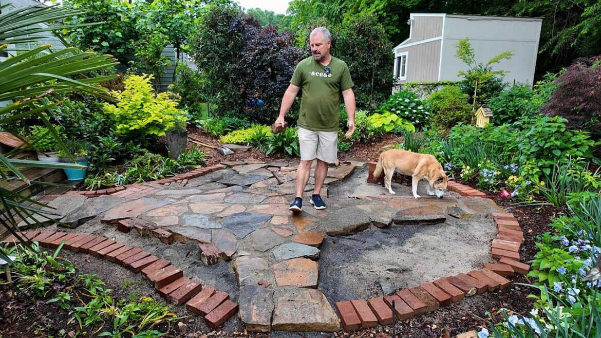 Patio Update, New Plants, Neighborhood Garden Tour