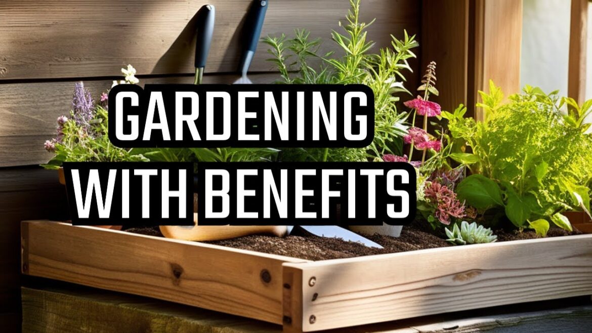 Gardening Tips with Medicinal Garden Kit - Perfect Hydrangea Pruning