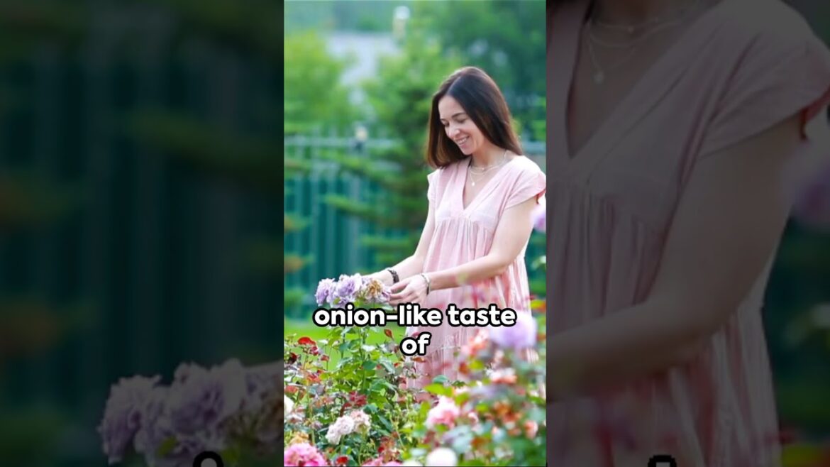 Explore edible flowers, flowers can add flavor to a dish, and some are just for garnish #edible Explore edible flowers, flowers can add flavor to a dish, and some are just for garnish #edible