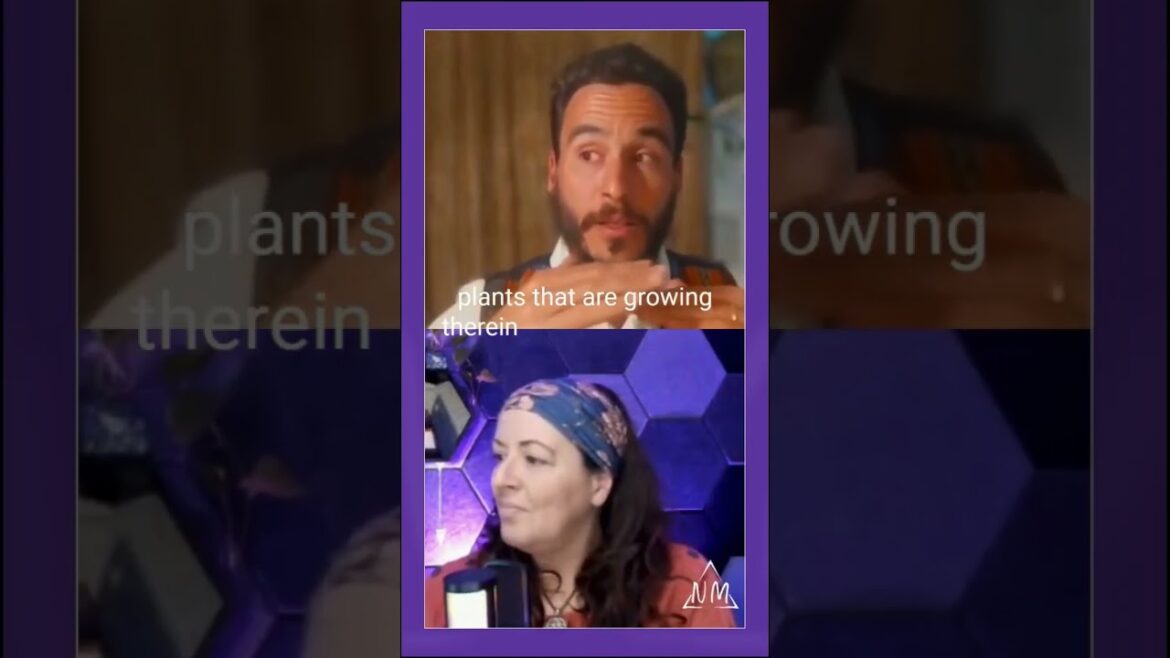 The Strangest ๐คฉ GARDEN Design Ever! (WATCH THIS!) The Strangest ๐คฉ GARDEN Design Ever! (WATCH THIS!)