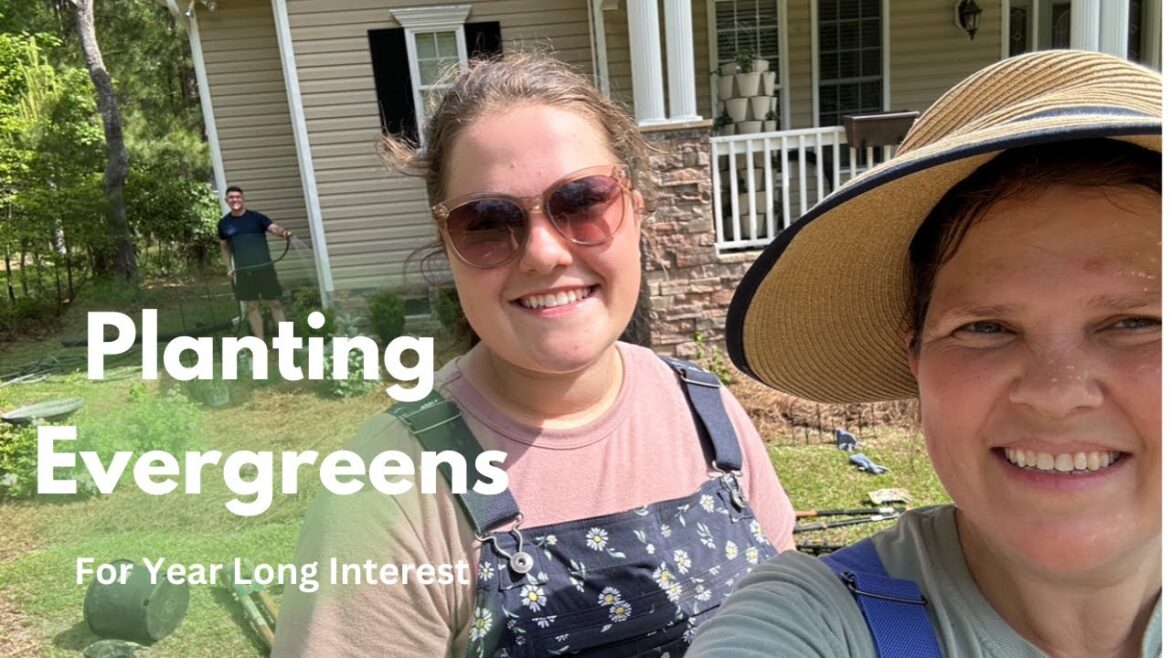 We Called in the Reinforcements! ￼                             Rocks & Roots Oh My!!