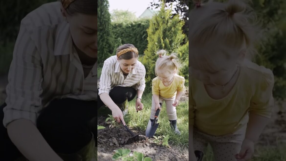 elevate your gardening game with Rentabout