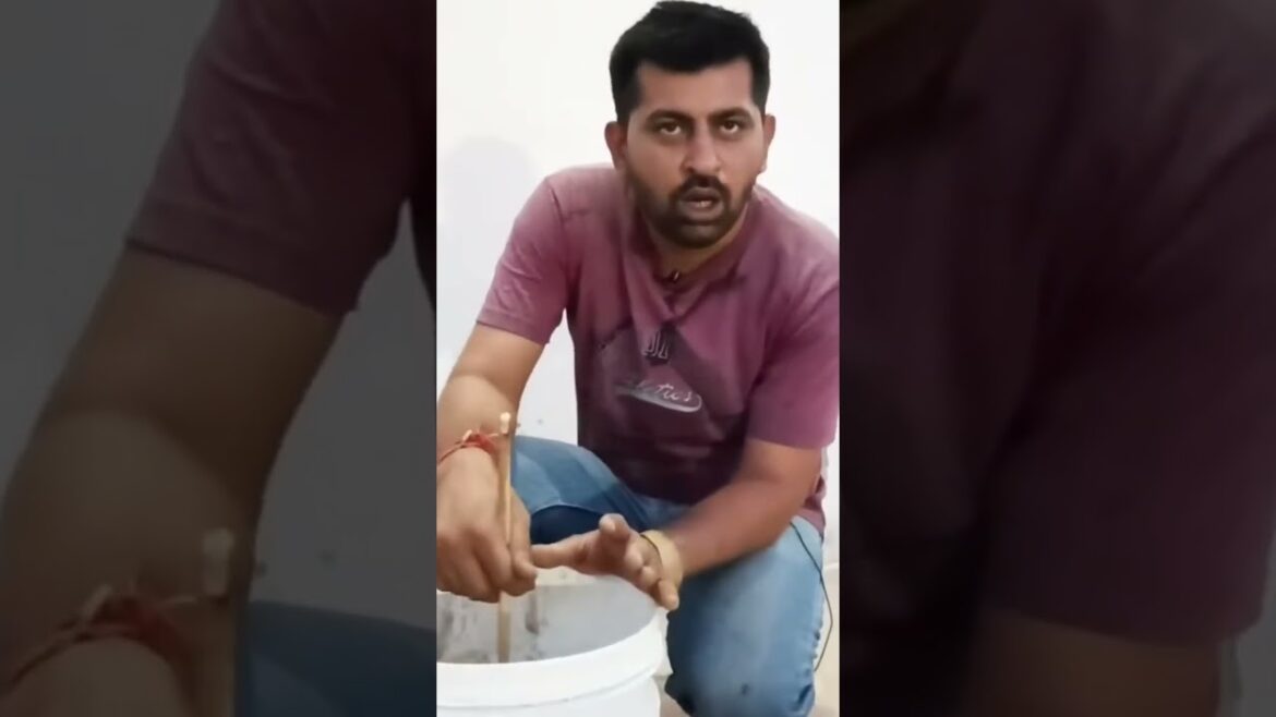 Best mixture of khad #gardener #fertilizer #gardeningtips #gardeningpointds #plants