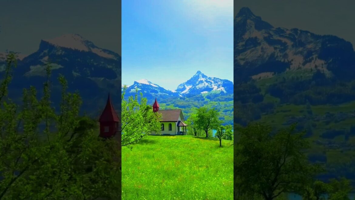 beautiful backyard @onwaygo #shorts #shortsfeeds #nature