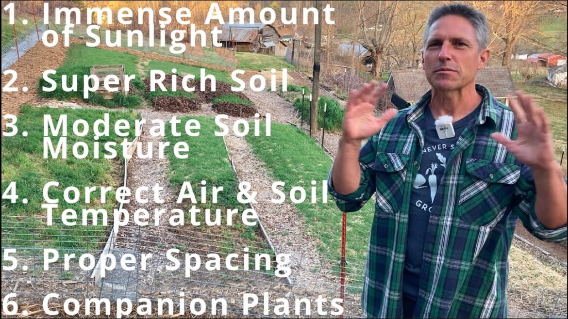 Vegetable Gardening Made Easy! | Beginner Gardening Tips and Tricks That Foster Long-Term Success!