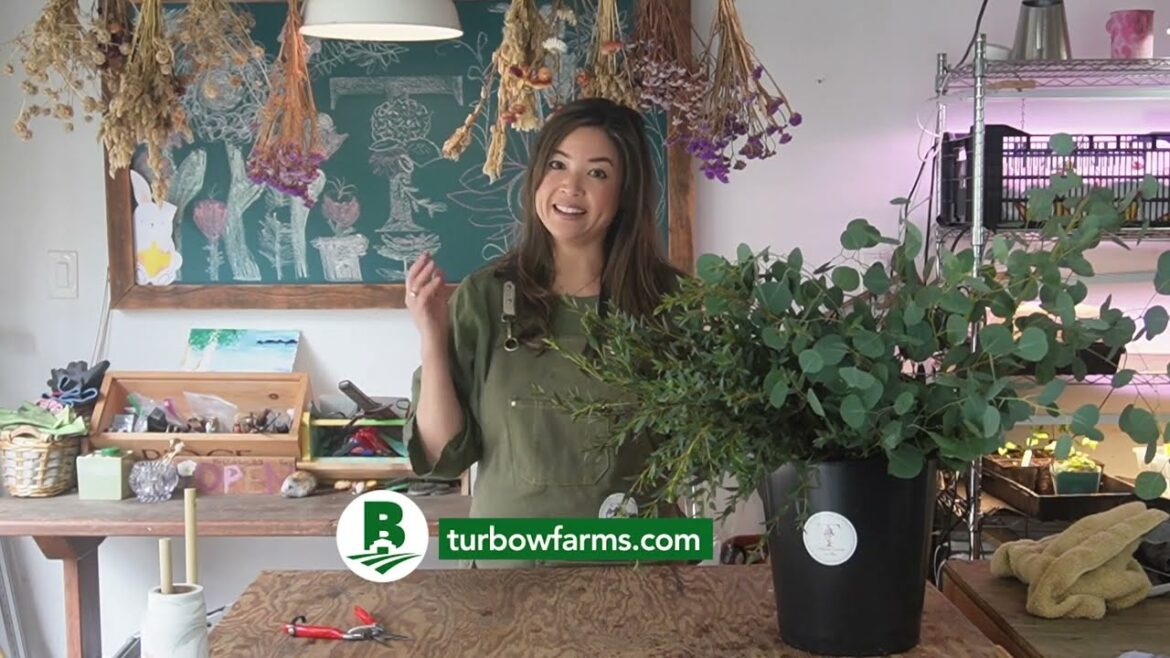 Choosing Landscape Plants Choosing Landscape Plants