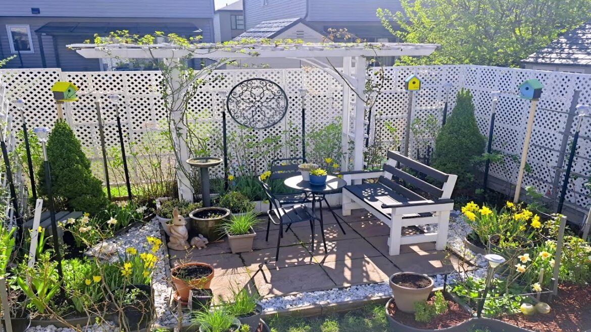 VISIT OUR TINY BACKYARD | SPRING GARDEN TOUR #garden #gardening #plants #flowers #spring #landscape